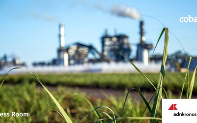 Sostenibilità, il 72% degli italiani ritiene fondamentale l’impegno delle imprese