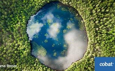 Cobat: Presentato il piano Ue per ridurre a zero l’inquinamento, ecco come funziona